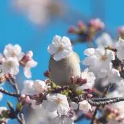 ごぼうの画像