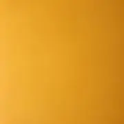 ちゃもんの画像