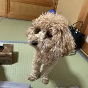 ゆうたの画像
