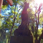 みみの画像