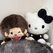 あさんの画像