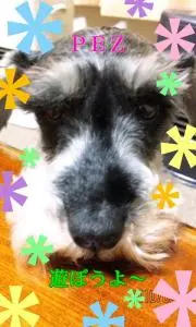 まめむし✨️プロフ必読の画像