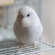 ぜろななの画像