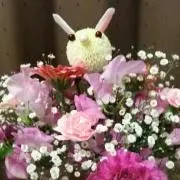 プロフ必読@３日以内に発送可の画像
