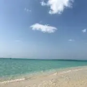 mokoの画像