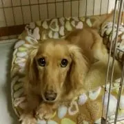 こなたん※プロフ必読※