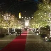 SYの画像