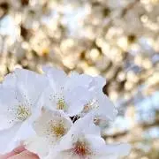 yann❁⃘の画像