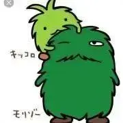 シルバの画像