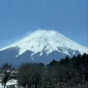ヴィンランドの画像