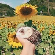 ぬの画像