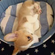ちーちゃん