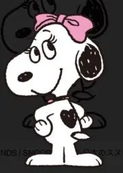 sskプロフ必読♡の画像