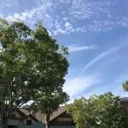 daidaianda_99の画像
