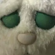 ゆゆこ