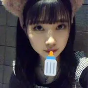 チワワの画像