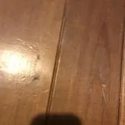 村の画像