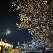 あゆ