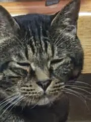riの画像