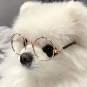 る。の画像