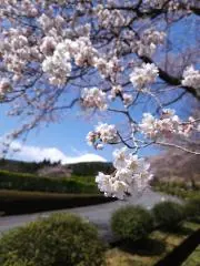 hirosan
