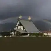 きなこの画像
