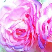 ♡プロフ必読♡のあの画像