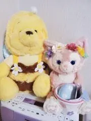 ゆえ