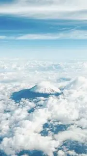 Pale Purpleの画像