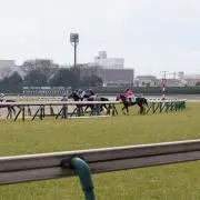 ToMiの画像
