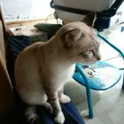 ジローさんの画像