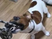 みかん&おもち&まめ