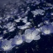 Mの画像
