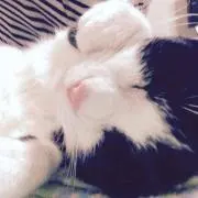 リュウ