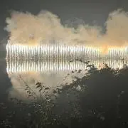 虎の画像