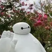 おさかなさん◯プロフィールご一読くださいの画像