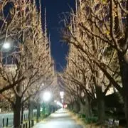 リュミエ―ルの画像