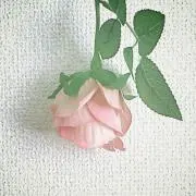 リョウ