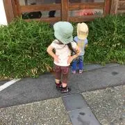 りんぷー