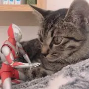 みおりん(ง ˙ω˙)ว