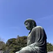 ymの画像