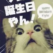 きなこ