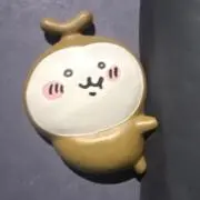 Rの画像