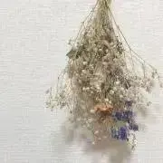manaの画像