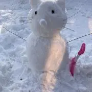 kobicherの画像