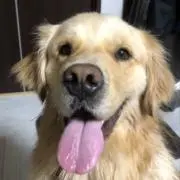 Yuutaの画像