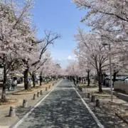 ichigo⚠️お盆で発送遅れます⚠️の画像