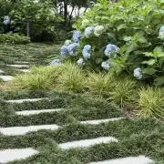 ペテペテ