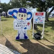 Toriの画像