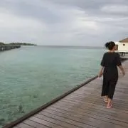 めいの画像
